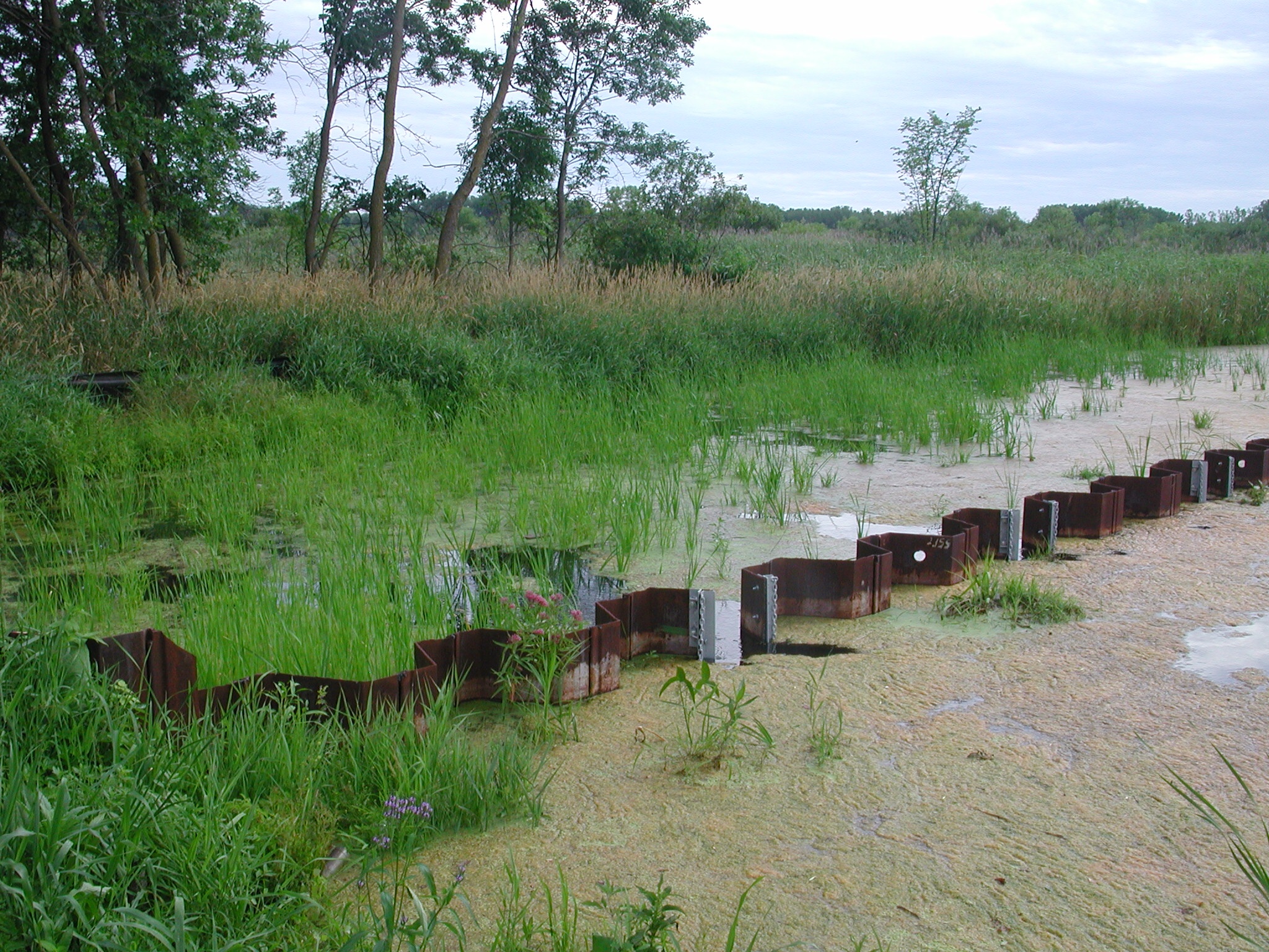 Image slide of Lambert Lake Pond southern weir