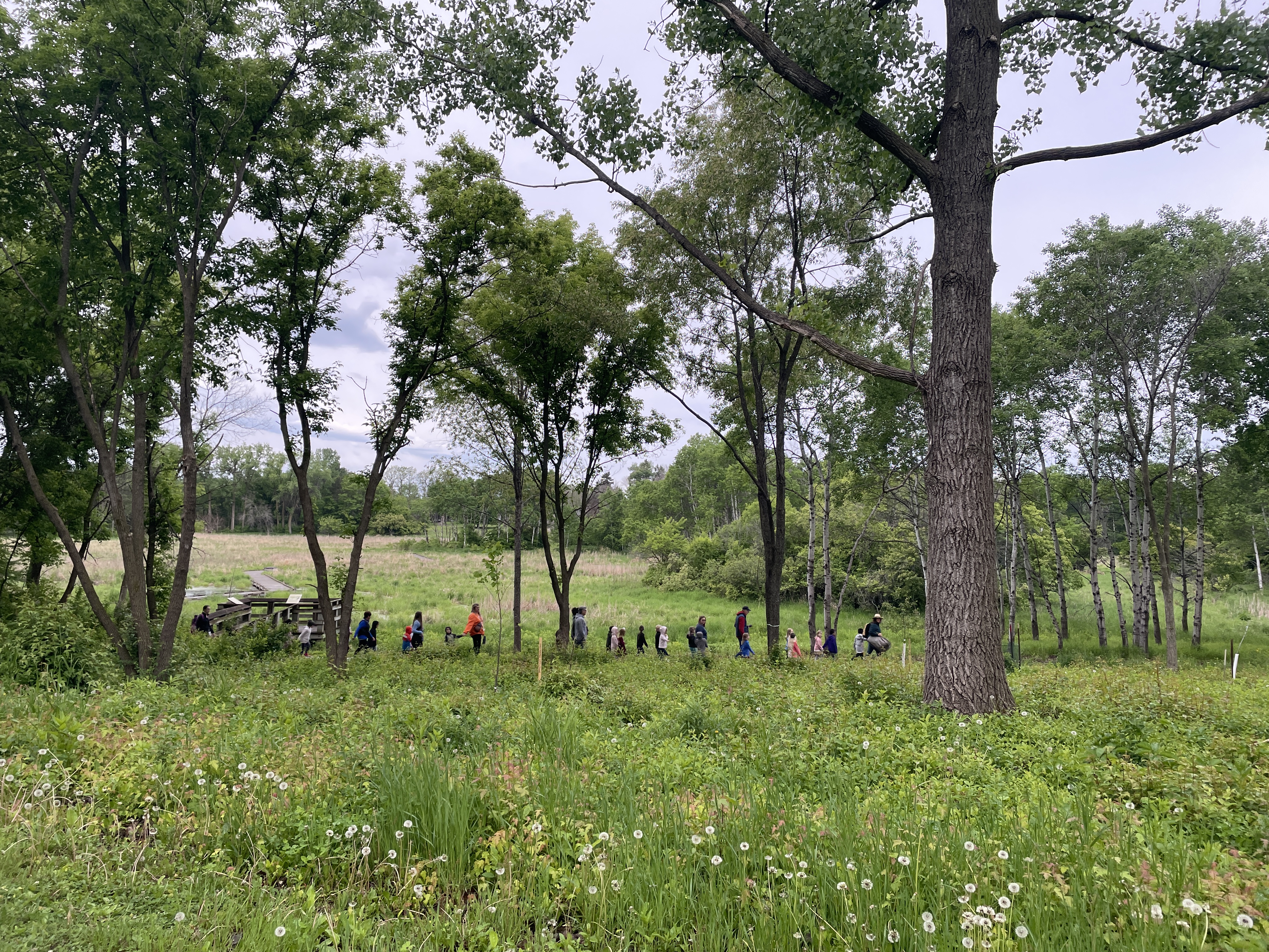 Image slide of Birch Lake Elementary students arrive for a field day at the Rotary Nature Preserve. 