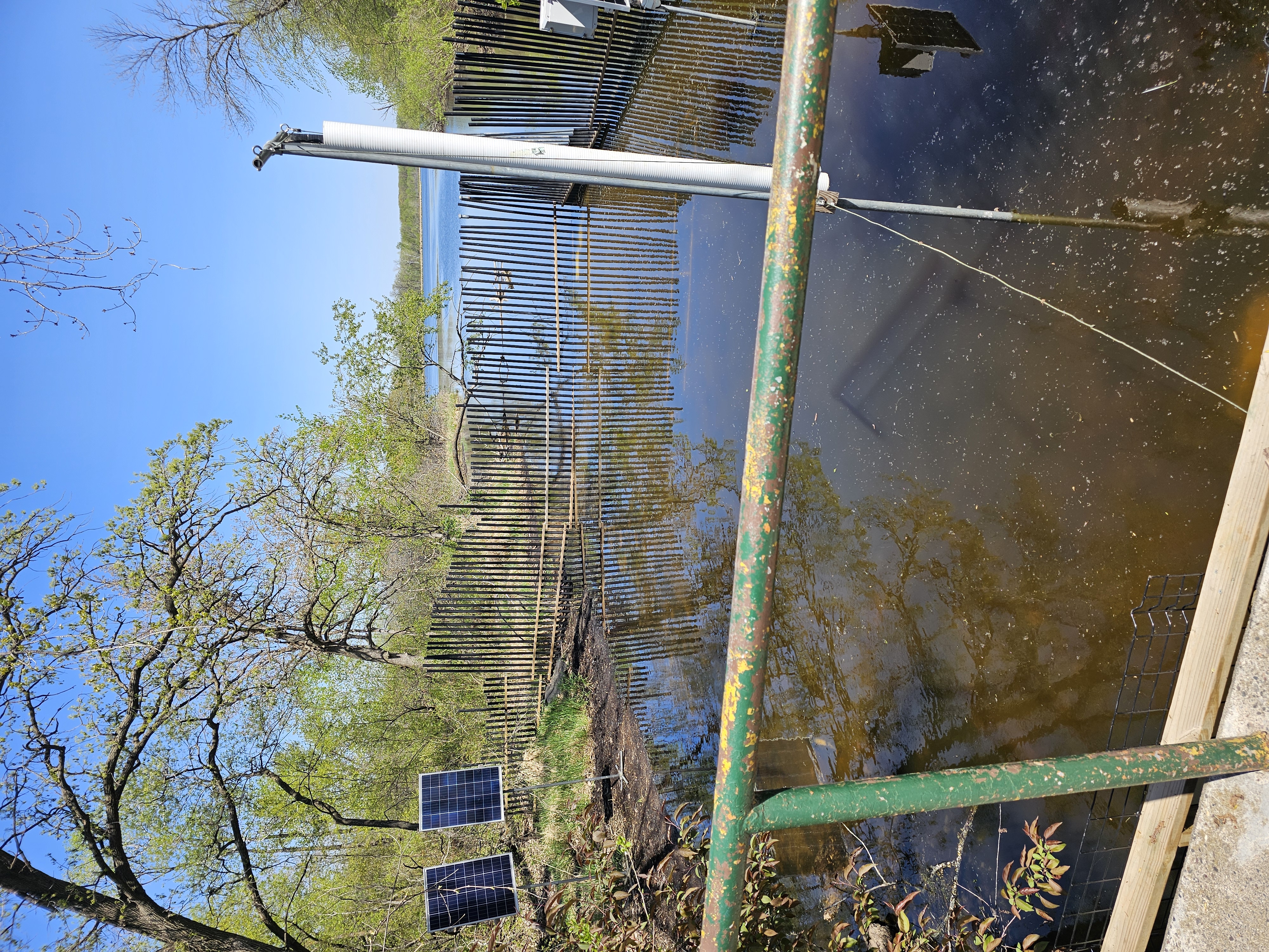 Image slide of A view of one of the carp barriers, summer 2025.