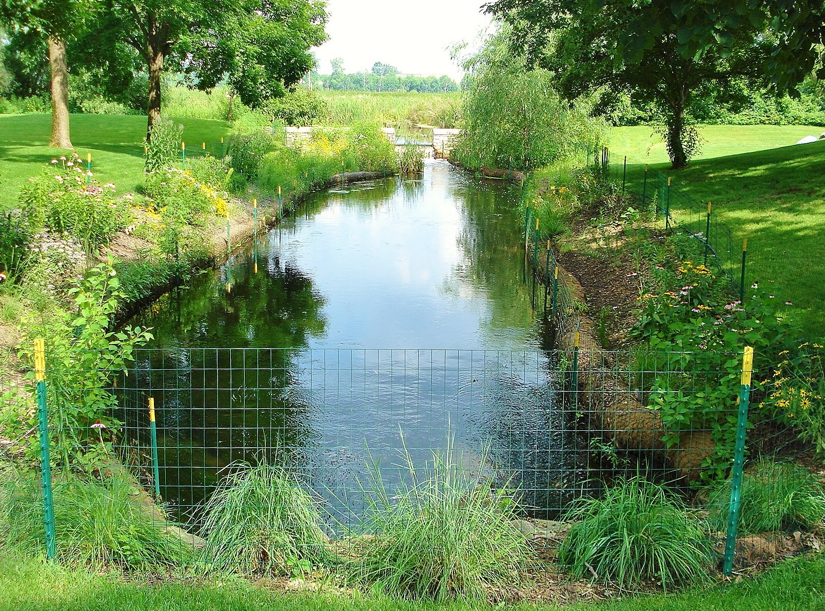 Image slide of Rice Lake Weir after channel restoration: 2010