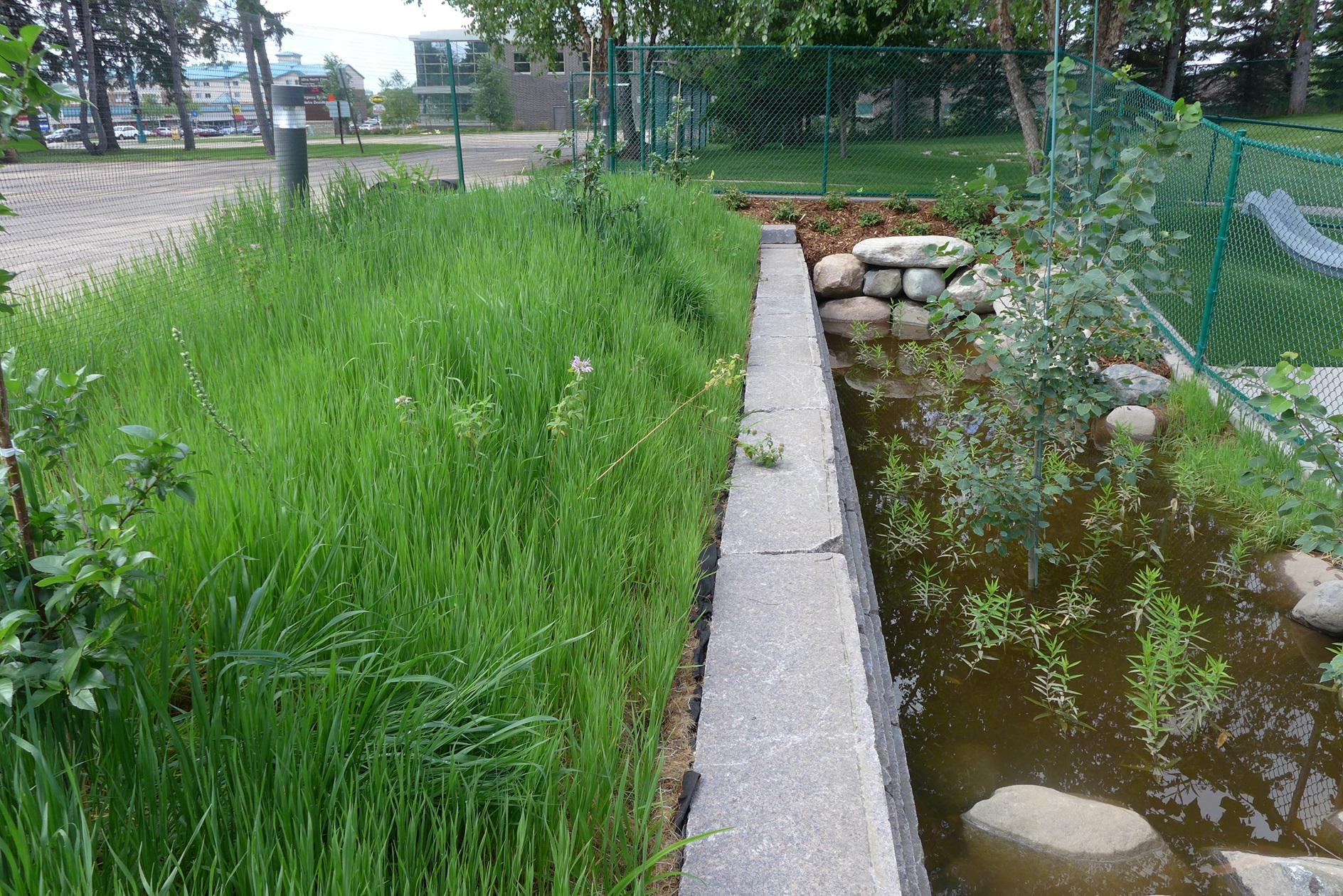 Image slide of Medium basin holding water