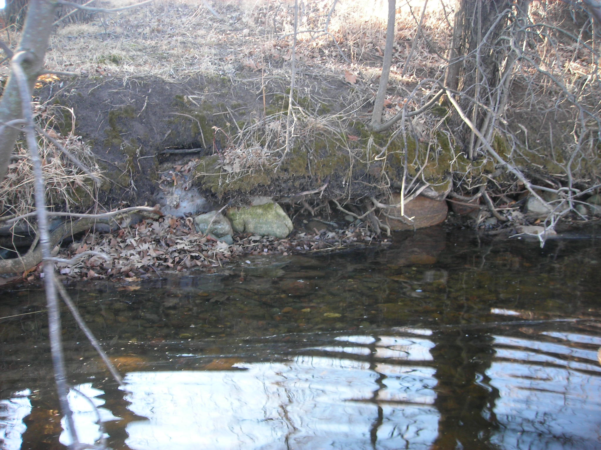 Image slide of Before image of channel