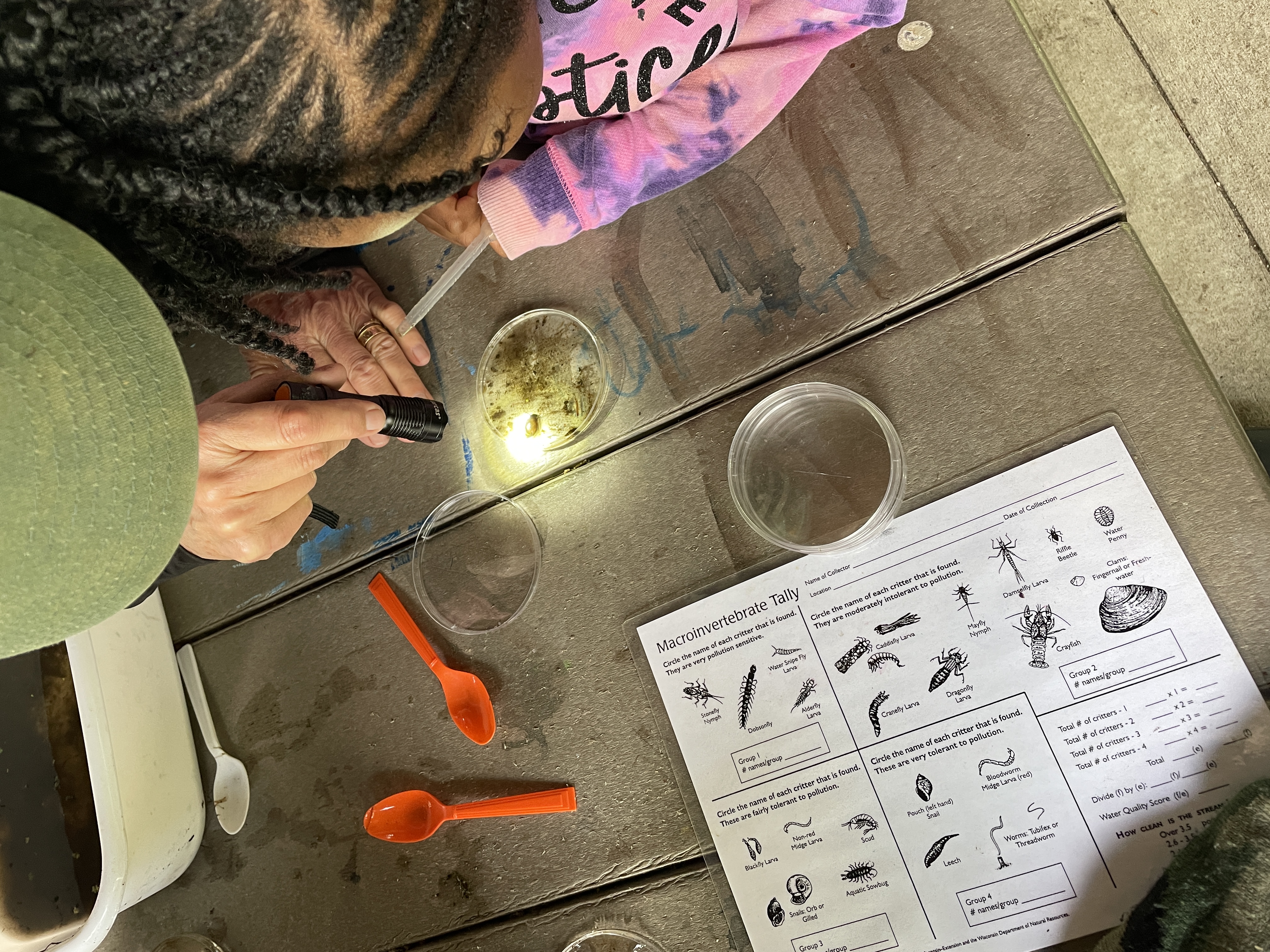 Image slide of Macroinvertebrate learning at the Rotary Nature Preserve. 