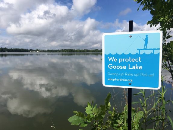 Adopt a drain sign on Goose Lake shore.jpg