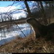 Presenting the Otter Spotter Initiative