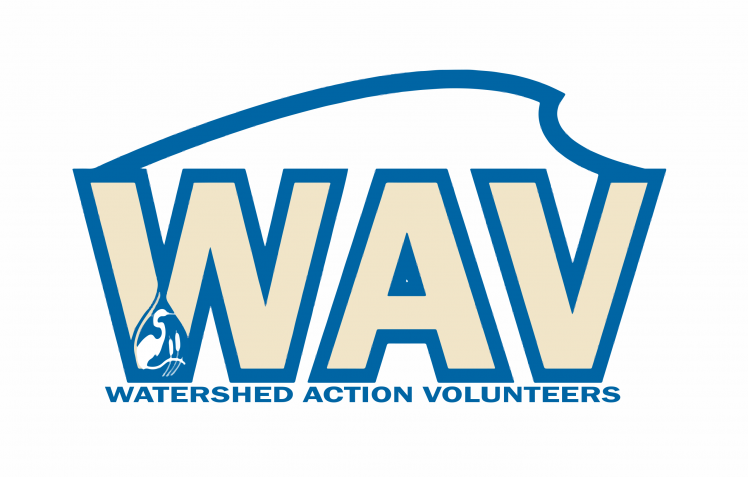 WAV logo-text.png