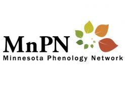 mn phenology network.jpg