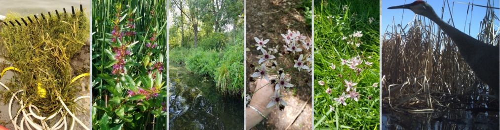 Various water images