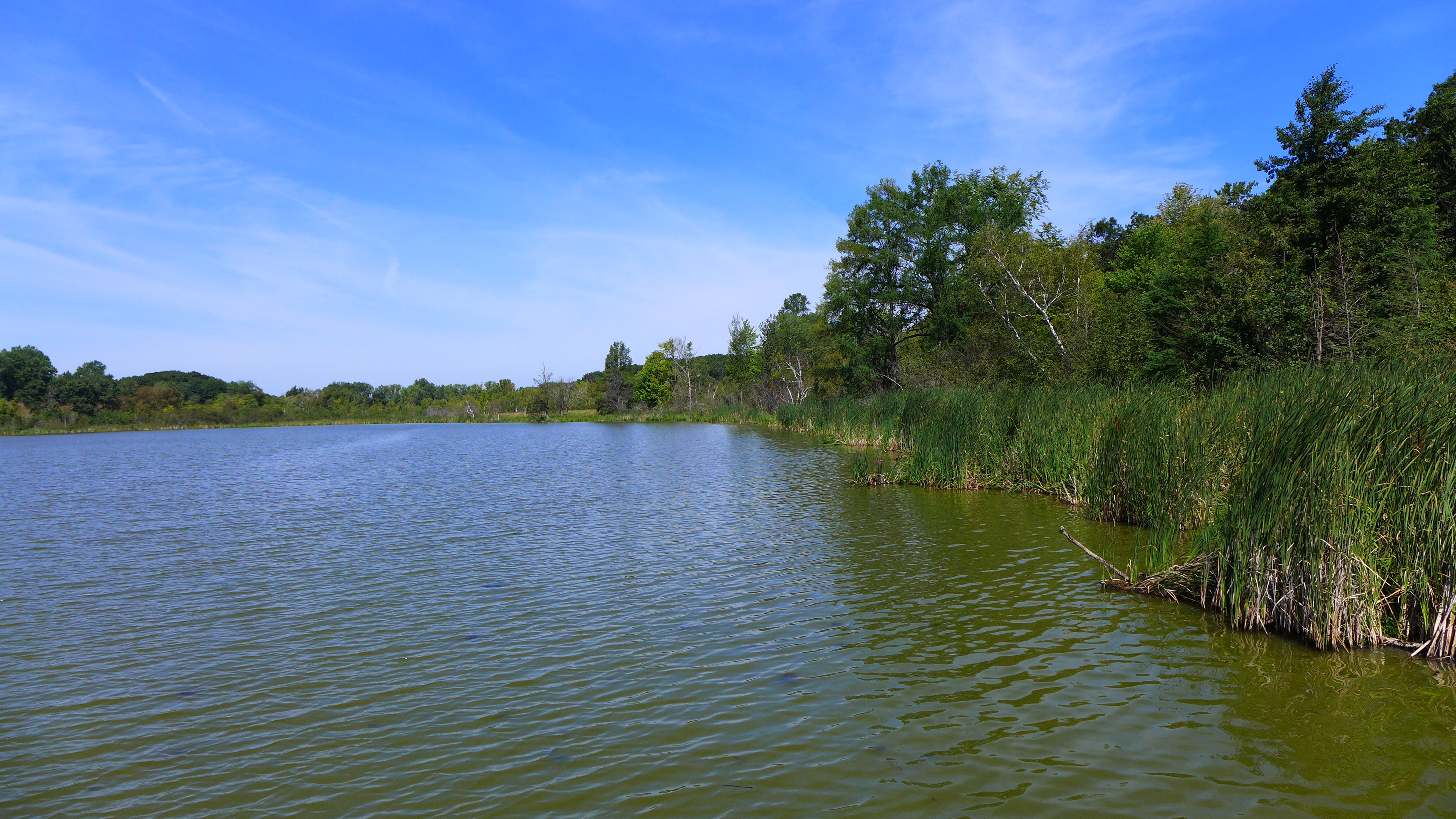 Tamarack Lake :: VLAWMO