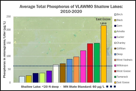 Ave TP shallow lakes 2010-2020 blue standard line - East Goose highlight.jpg