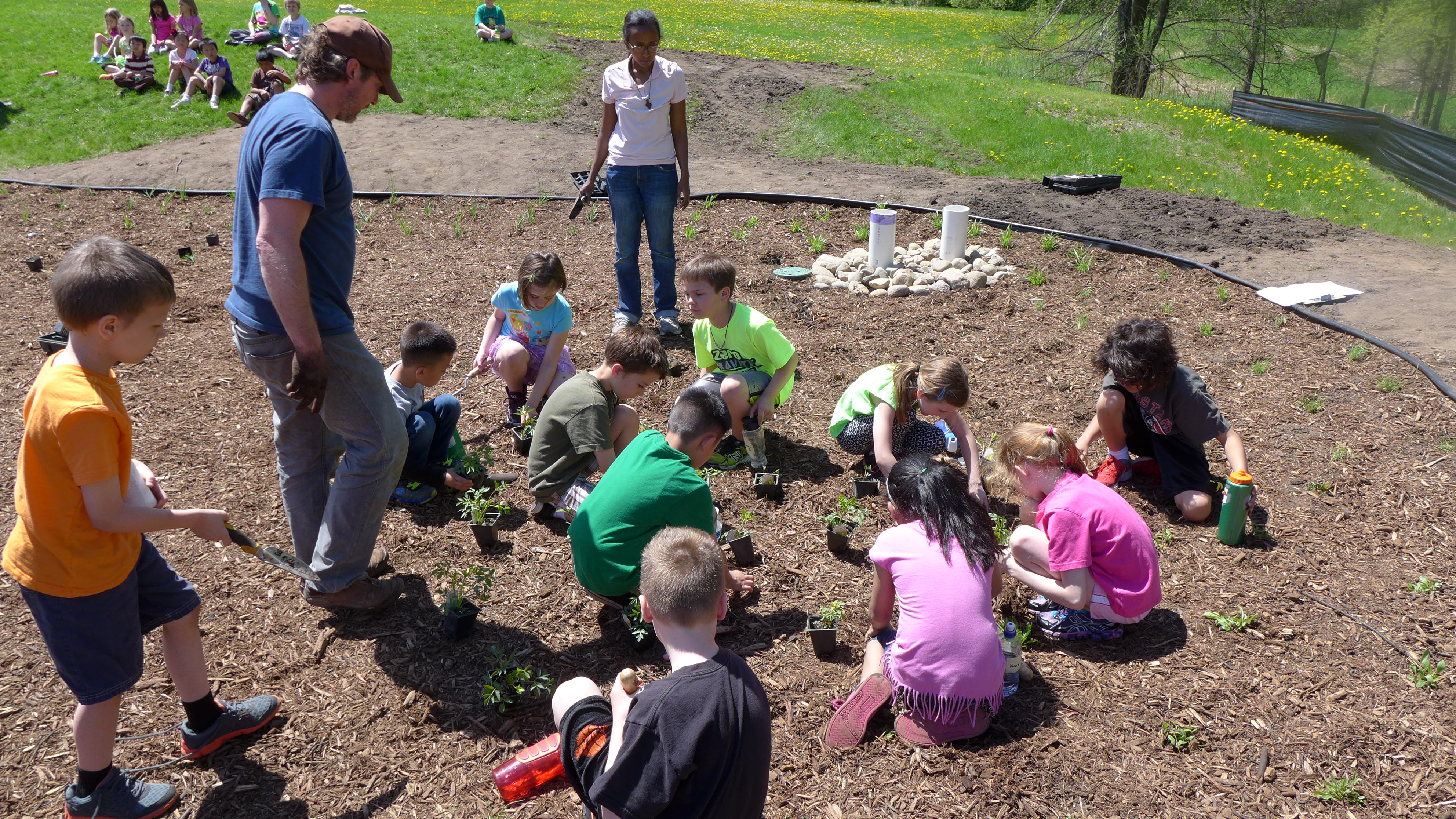 1 Community Blue VHES Raingarden 2014 (38).JPG