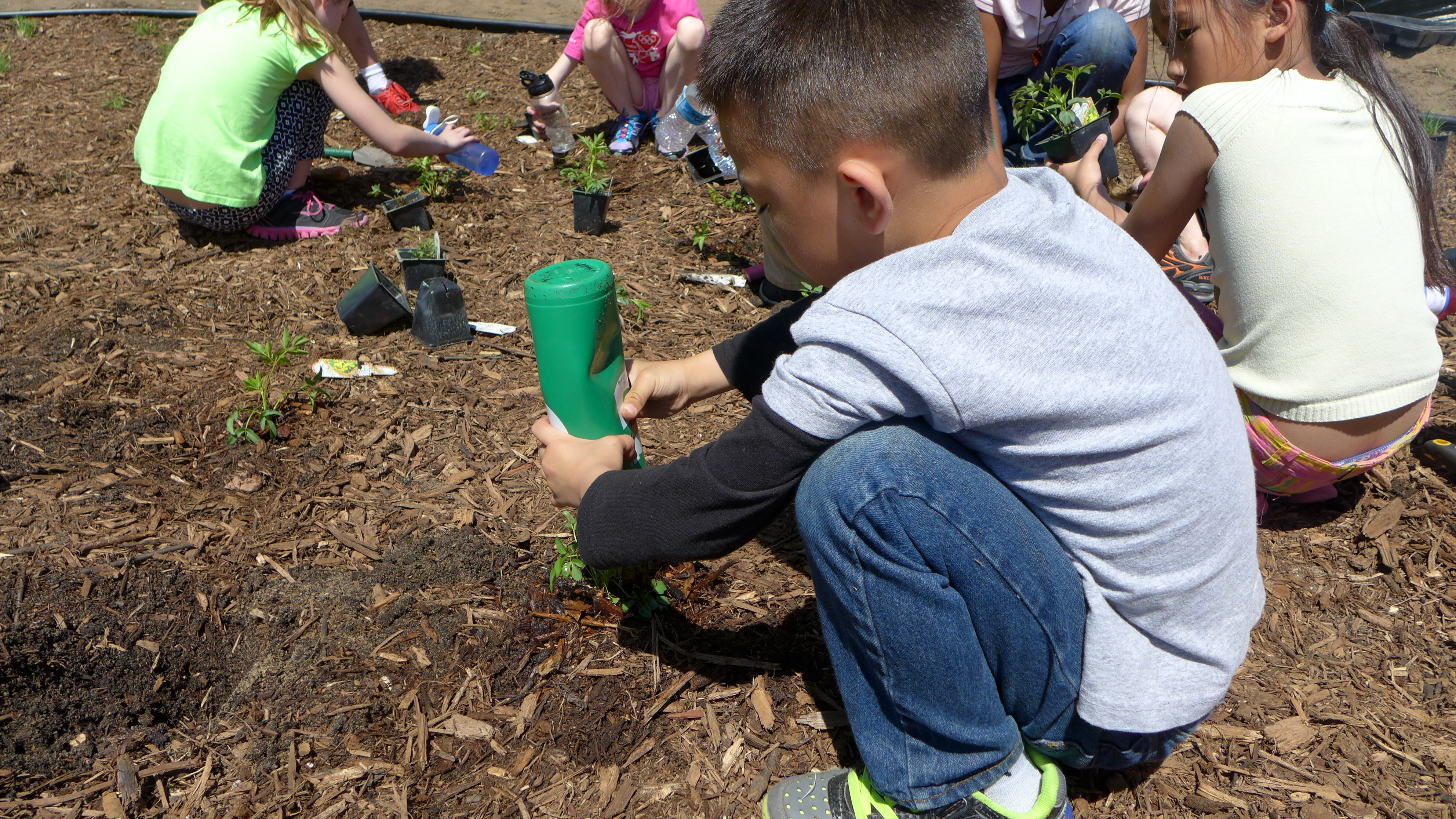1 Community Blue VHES Raingarden 2014 (47).JPG