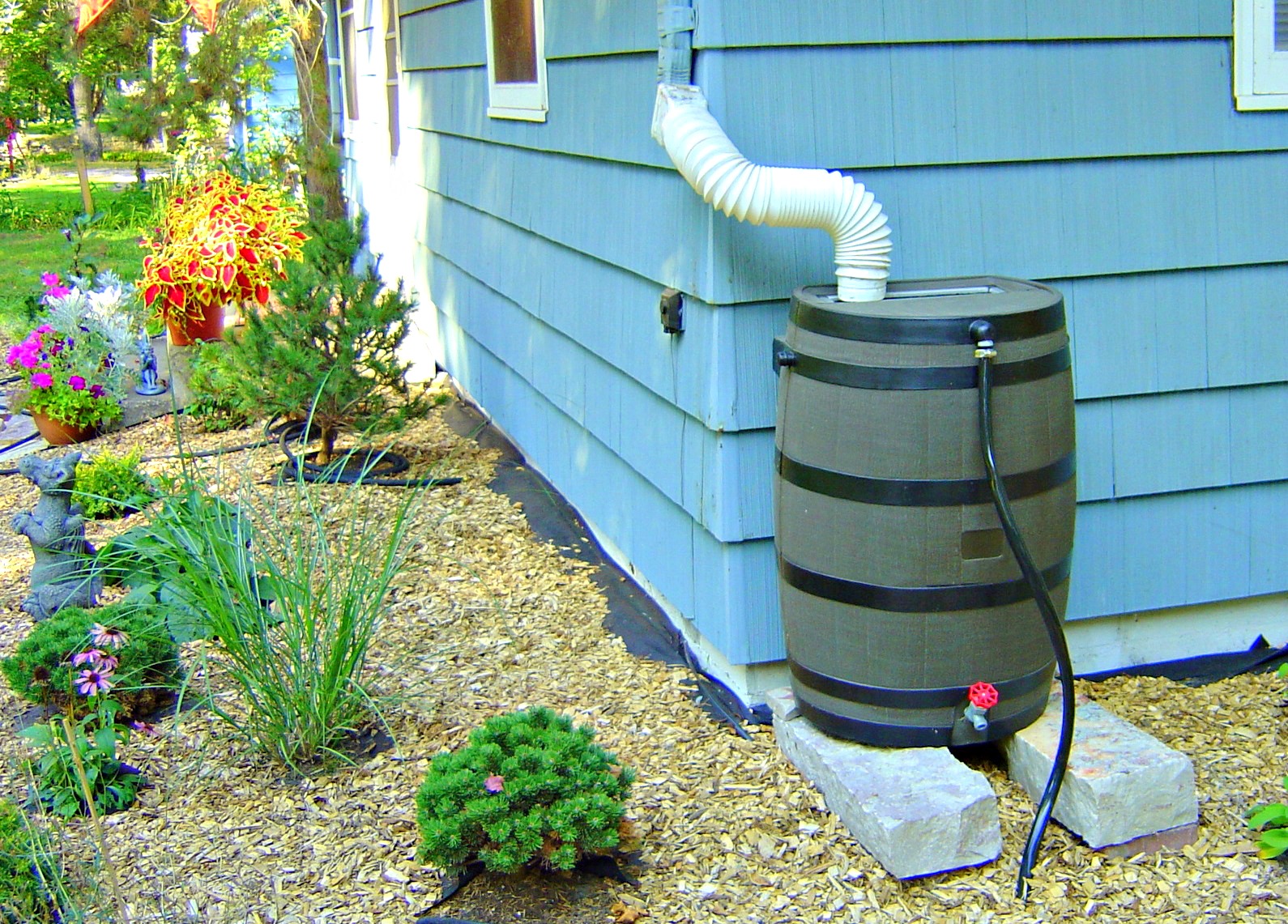 rainbarrel cost share