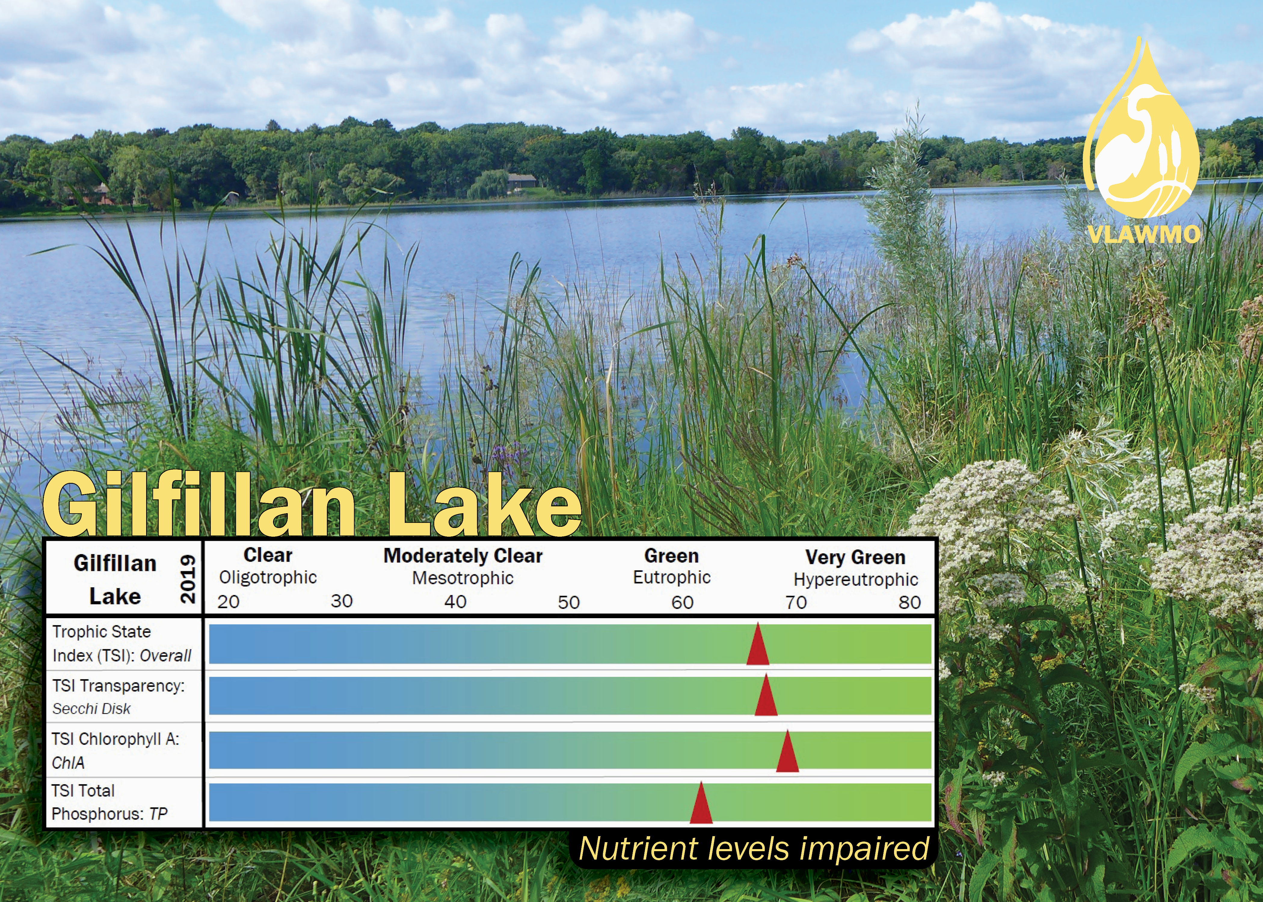 Gilfillan Lake TSI graphic 2019.png