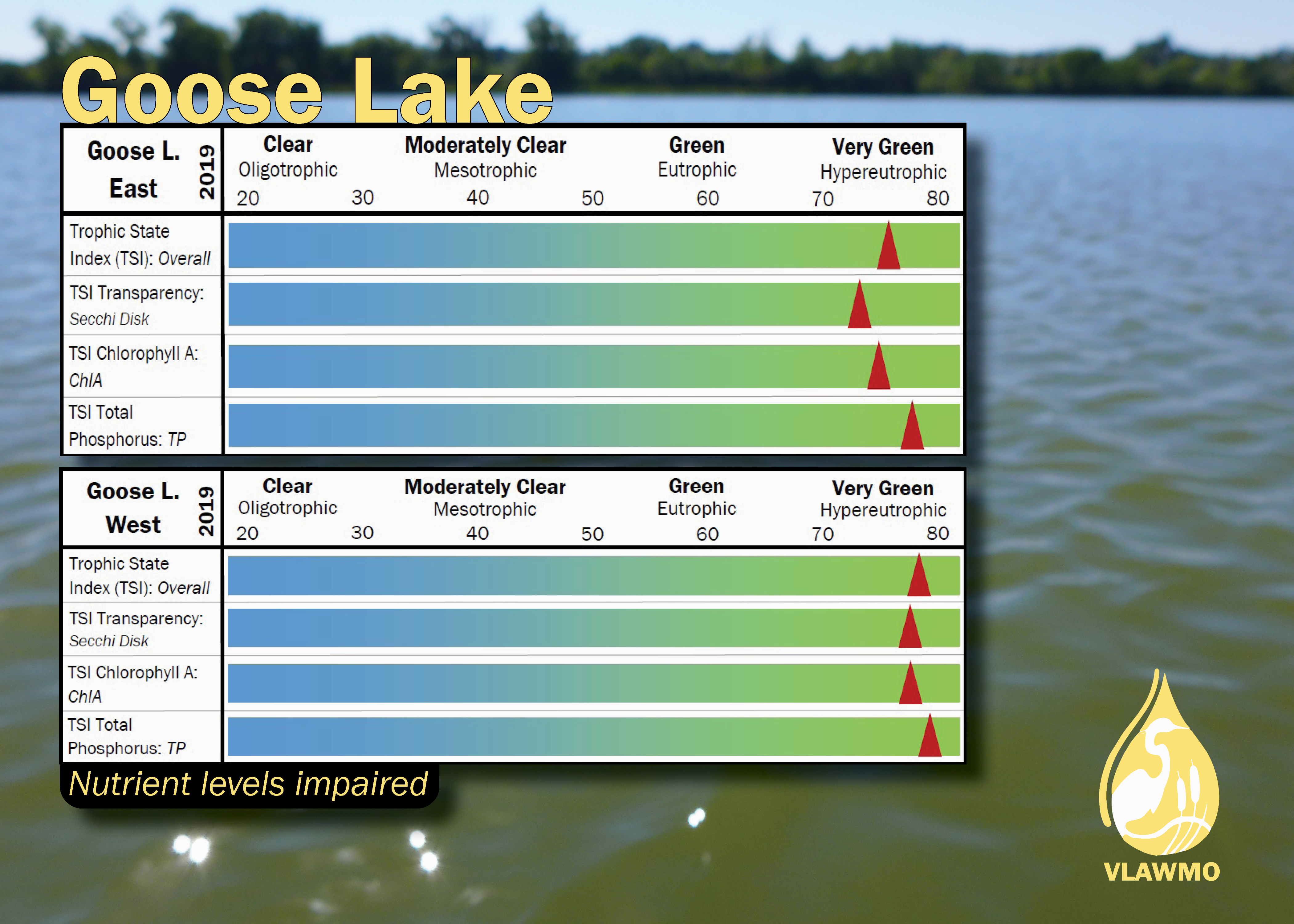 Goose Lake TSI graphic 2019.png