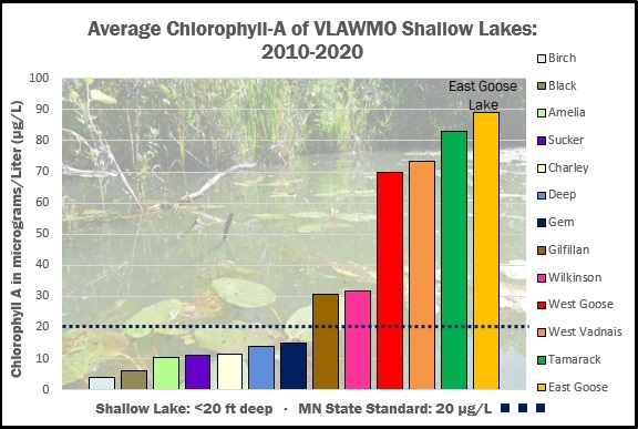 Ave Chl-A shallow lakes 2010-2020 blue standard line.jpg