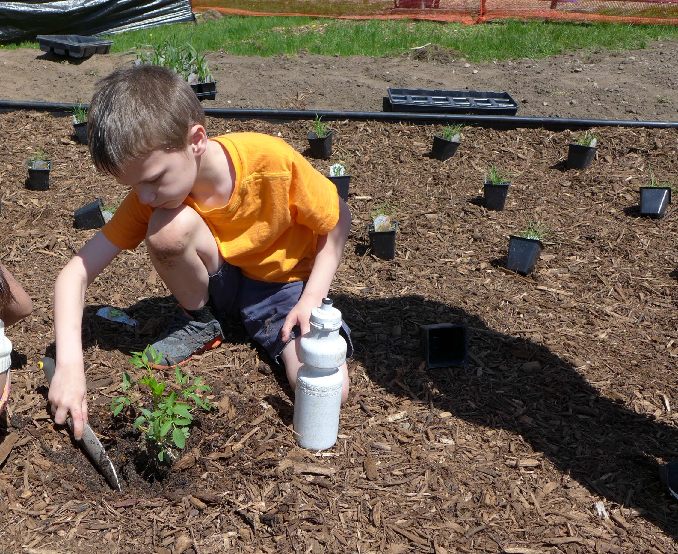 1 Community Blue VHES Raingarden 2014 (48).JPG