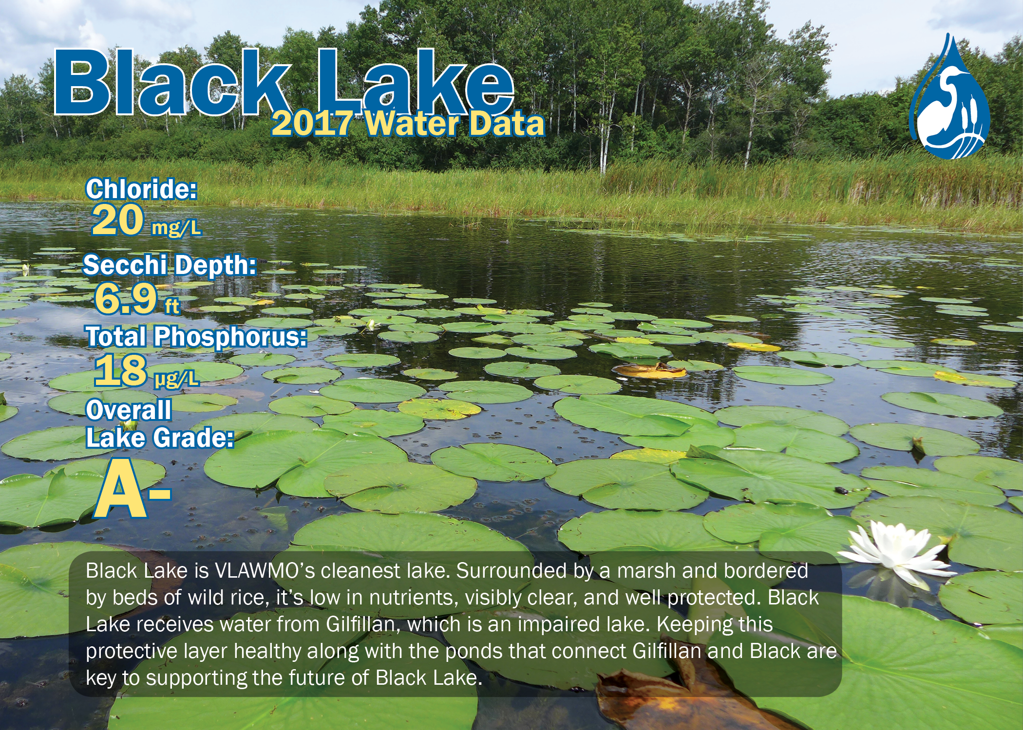 2017 Lake summary memes2.png