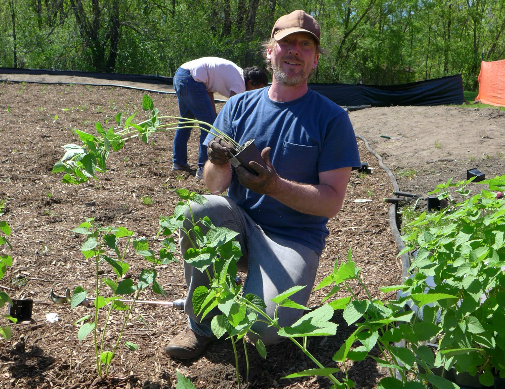 1 Community Blue VHES Raingarden 2014 (1).JPG