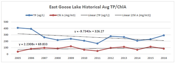 Goose historical.jpg