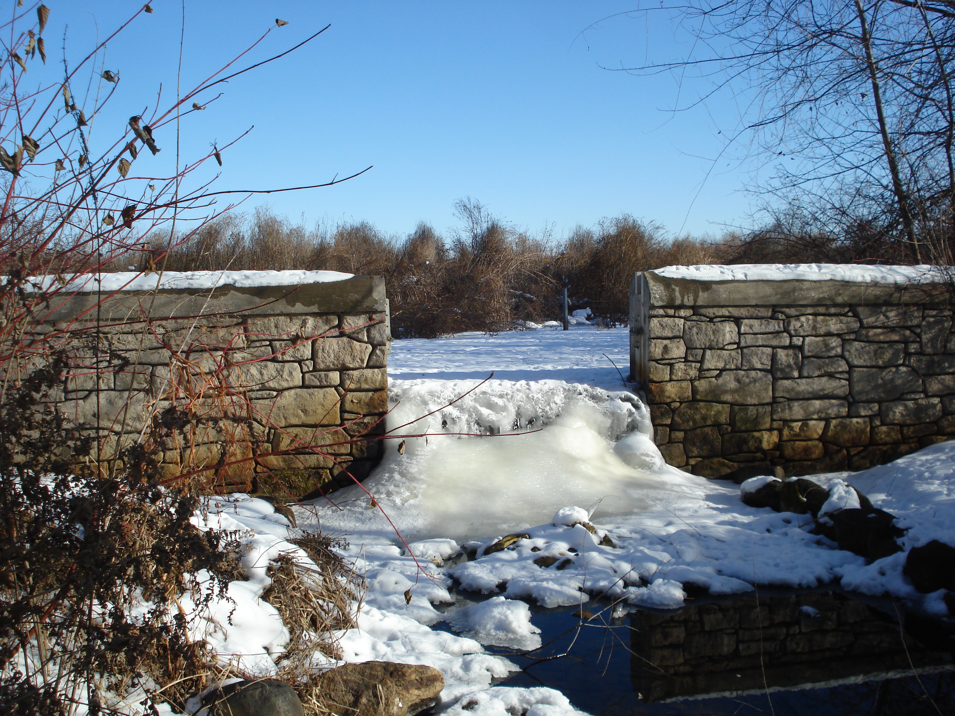 Oakmede- 1-9-18- 04.JPG