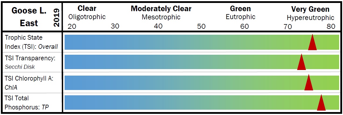 East Goose 2019 TSI scale.jpg