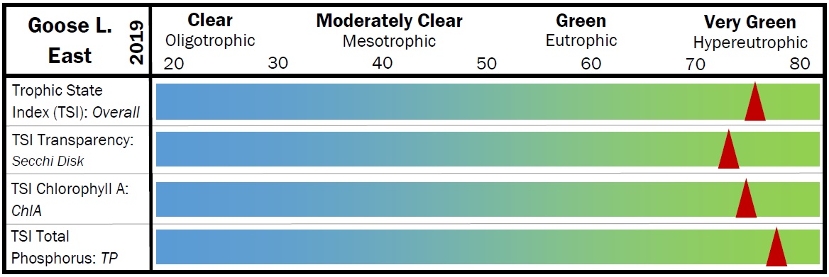 East Goose 2019 TSI scale.jpg