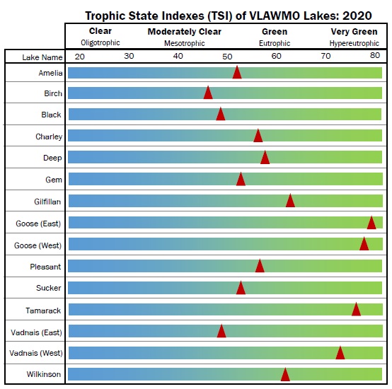 VLAWMO Lakes TSI 2020.jpg
