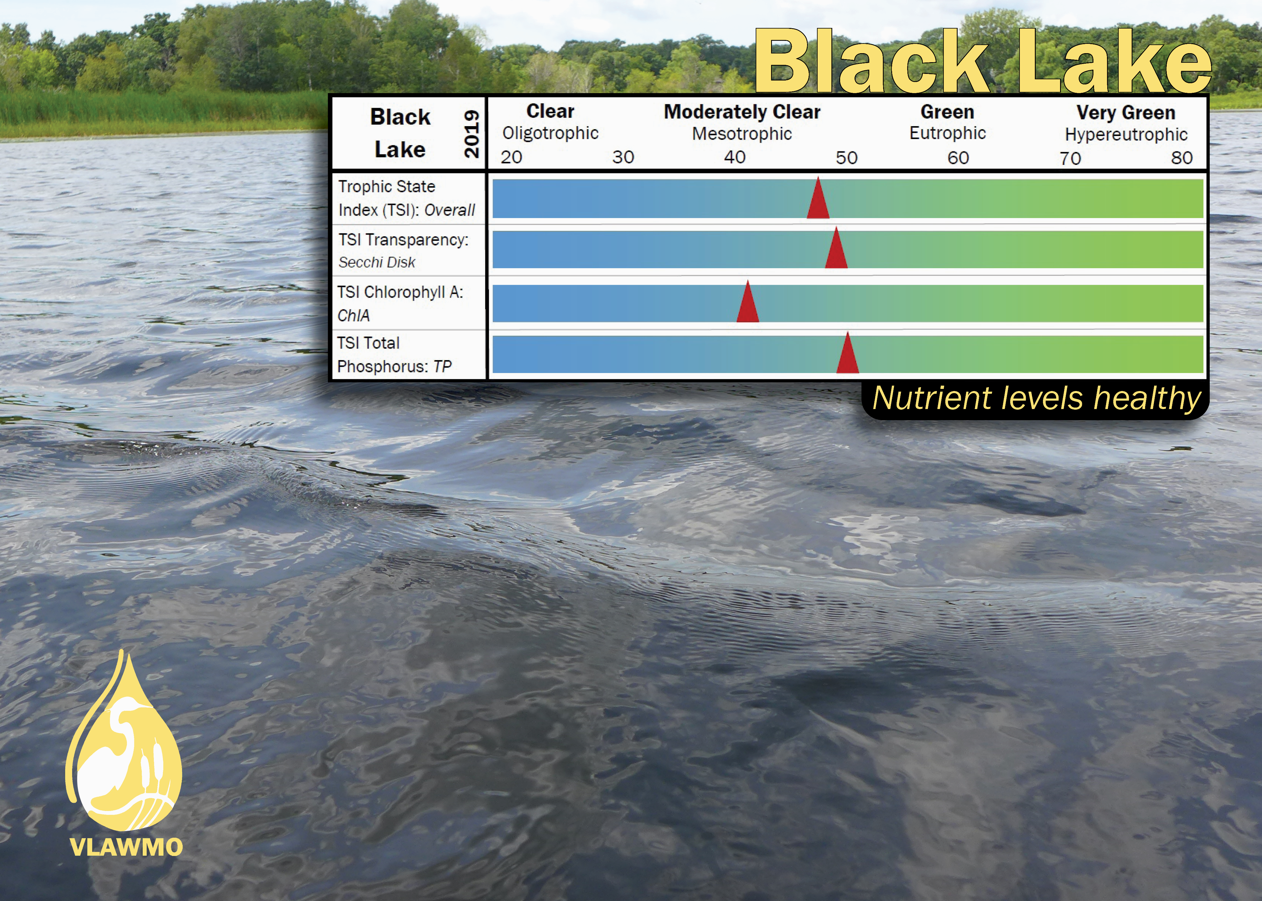 Black Lake TSI graphic 2019.png