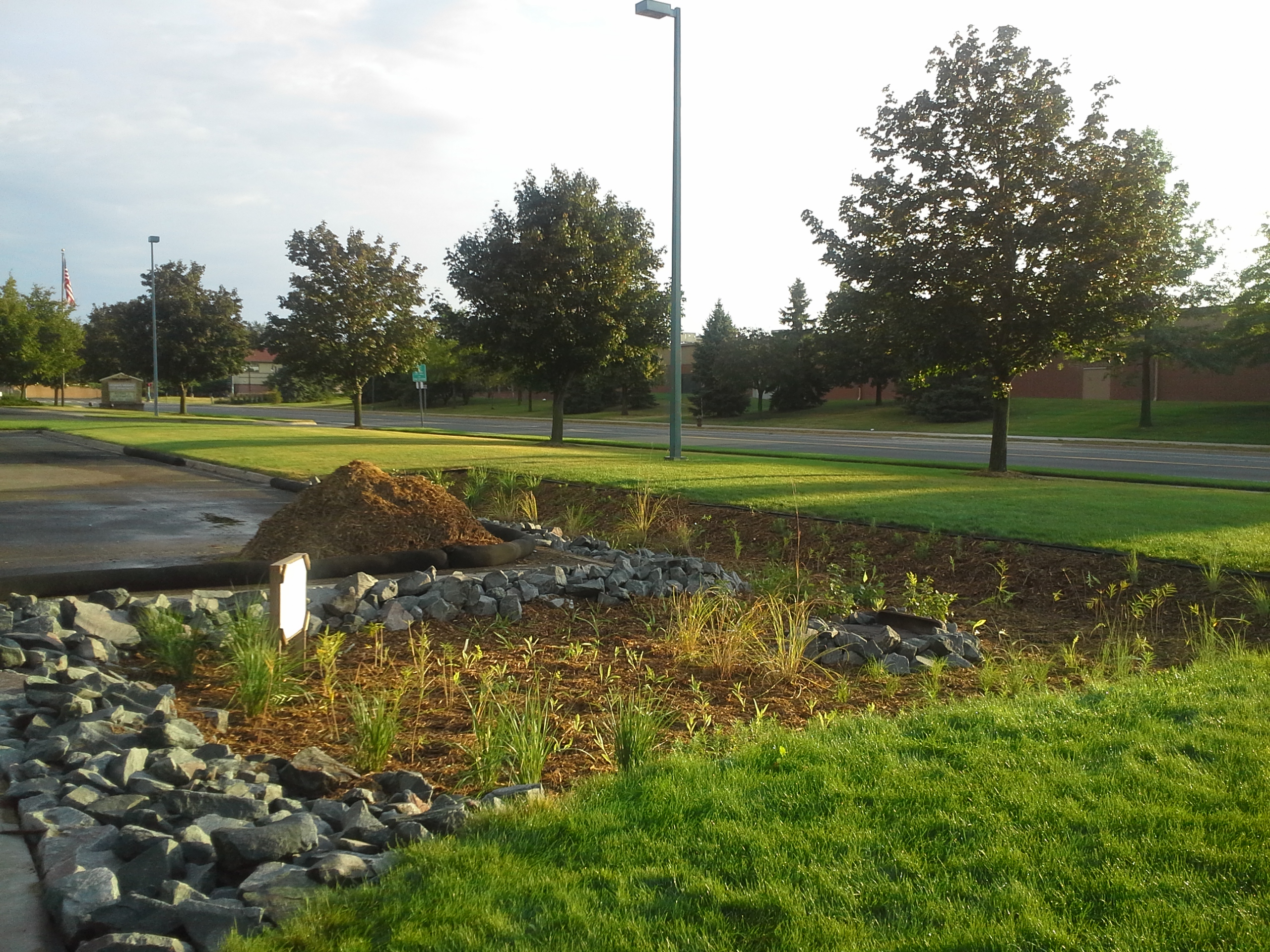 newly planted
