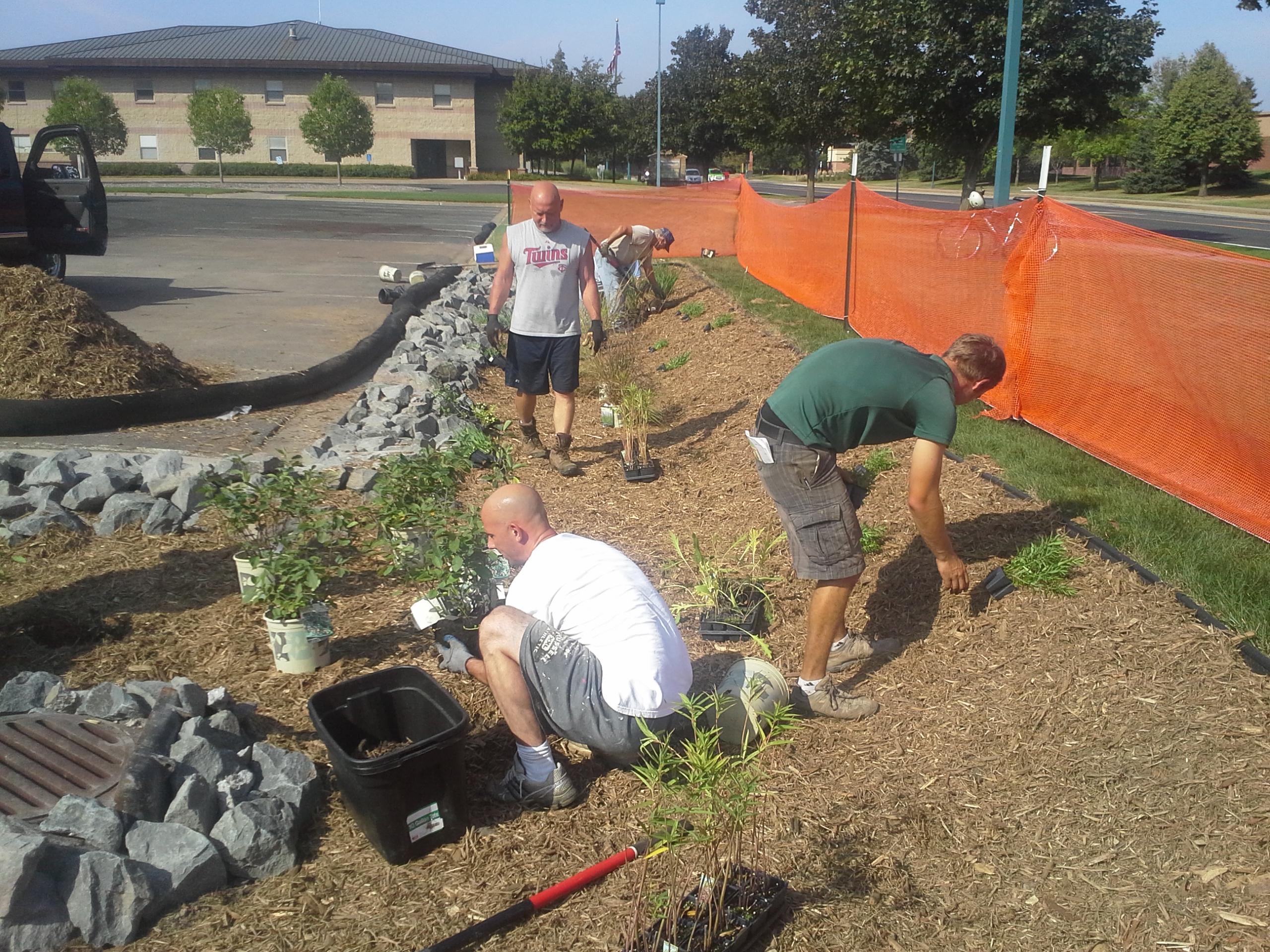 volunteers planting
