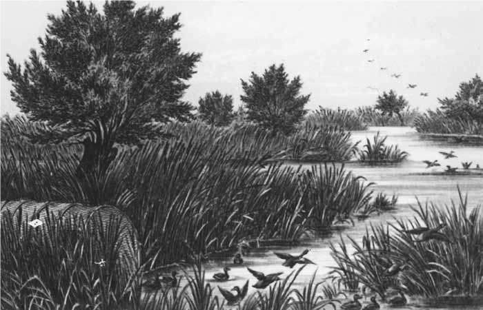 Goose Lake historic sketch.png