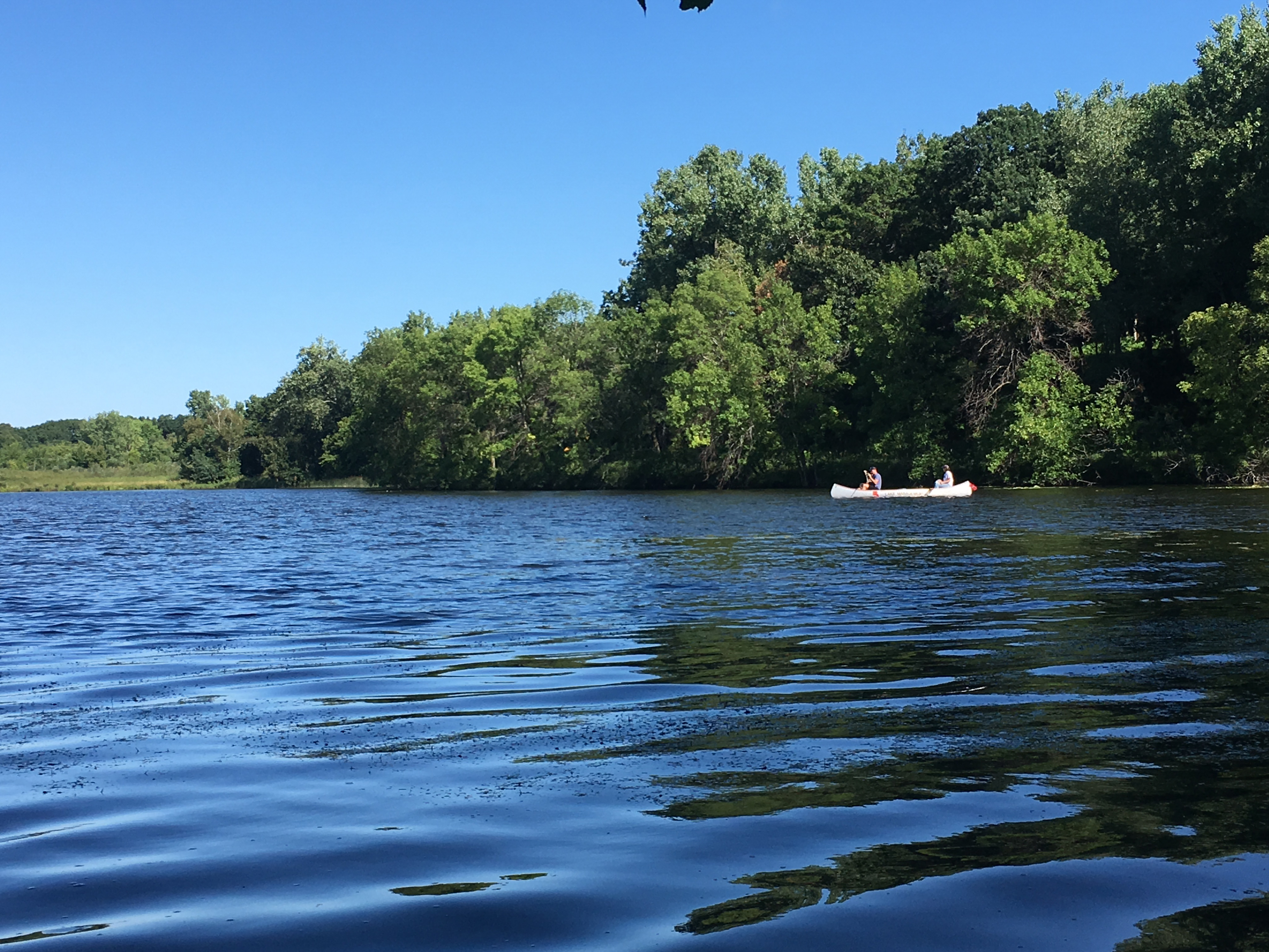 charley vegetation out on boat right side up.jpg