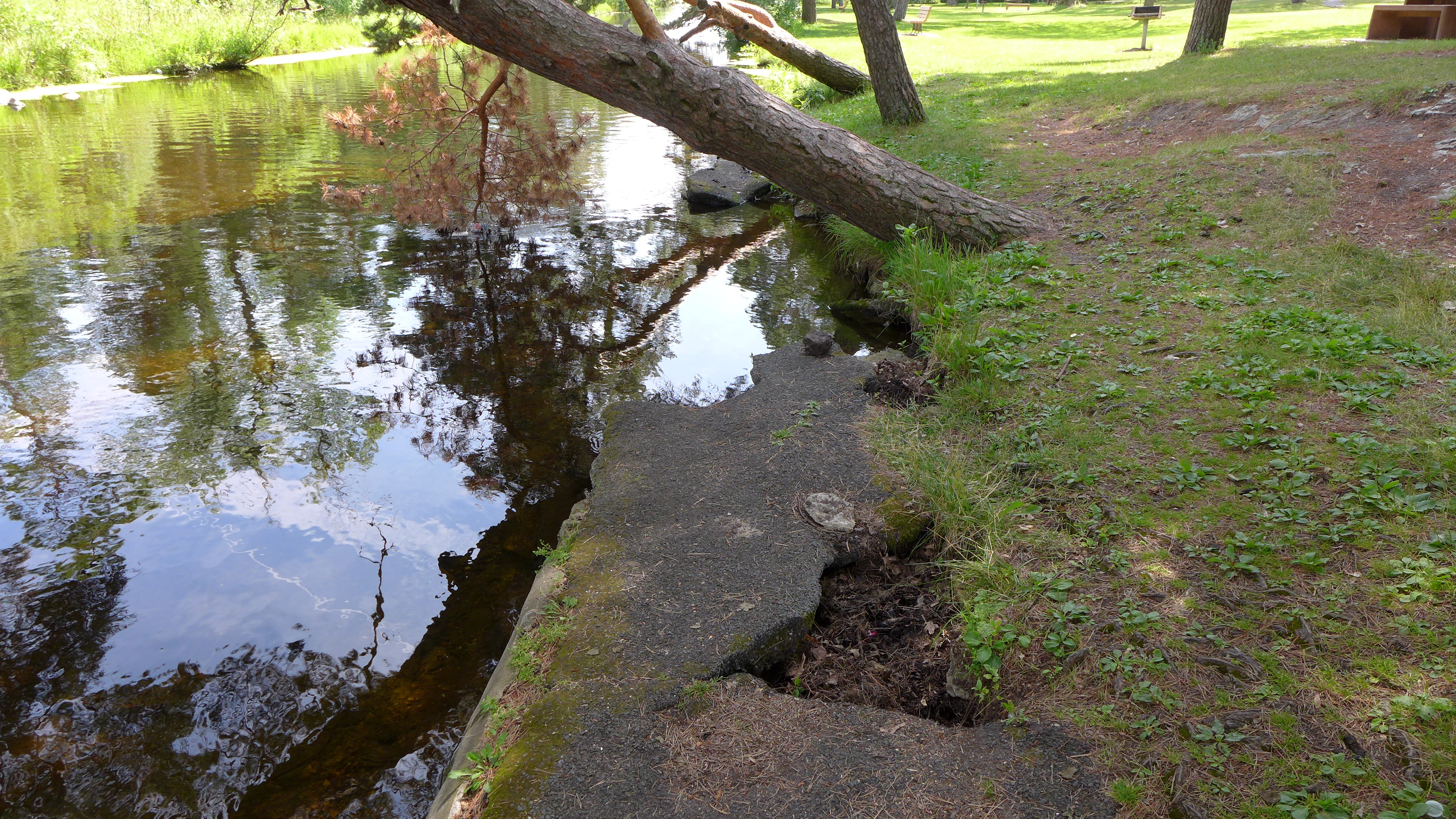 Sucker Lake Channel erosion (2) B4 pic 2014