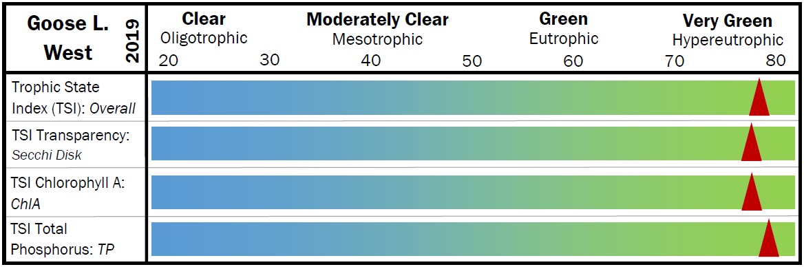 West Goose 2019 TSI scale.jpg