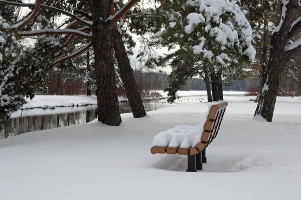 Sucker_Lake_Winter