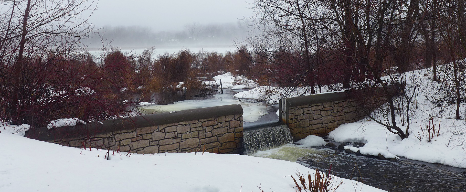 rice lake weir cropped march.jpg