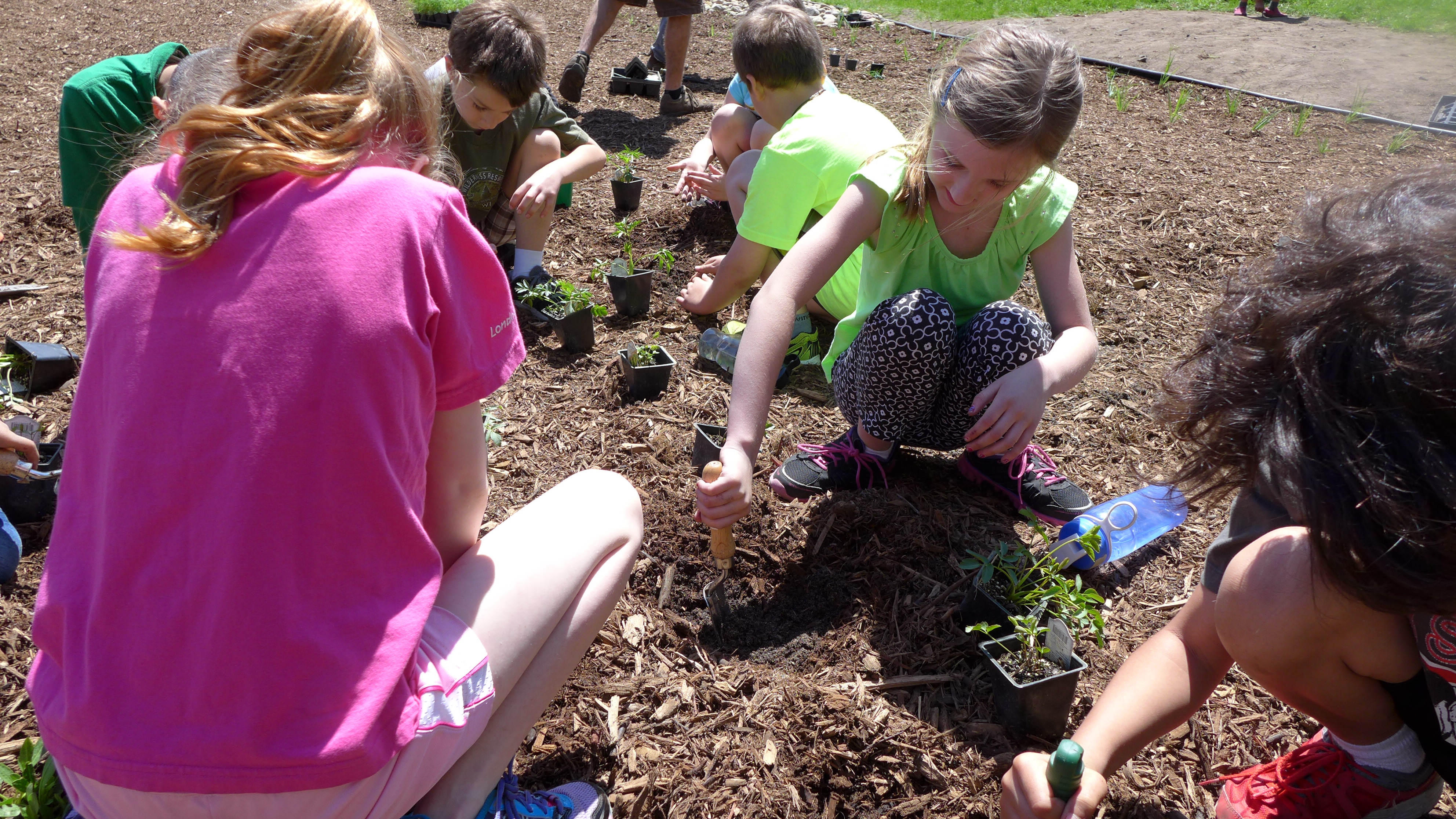 1 Community Blue VHES Raingarden 2014 (41).JPG