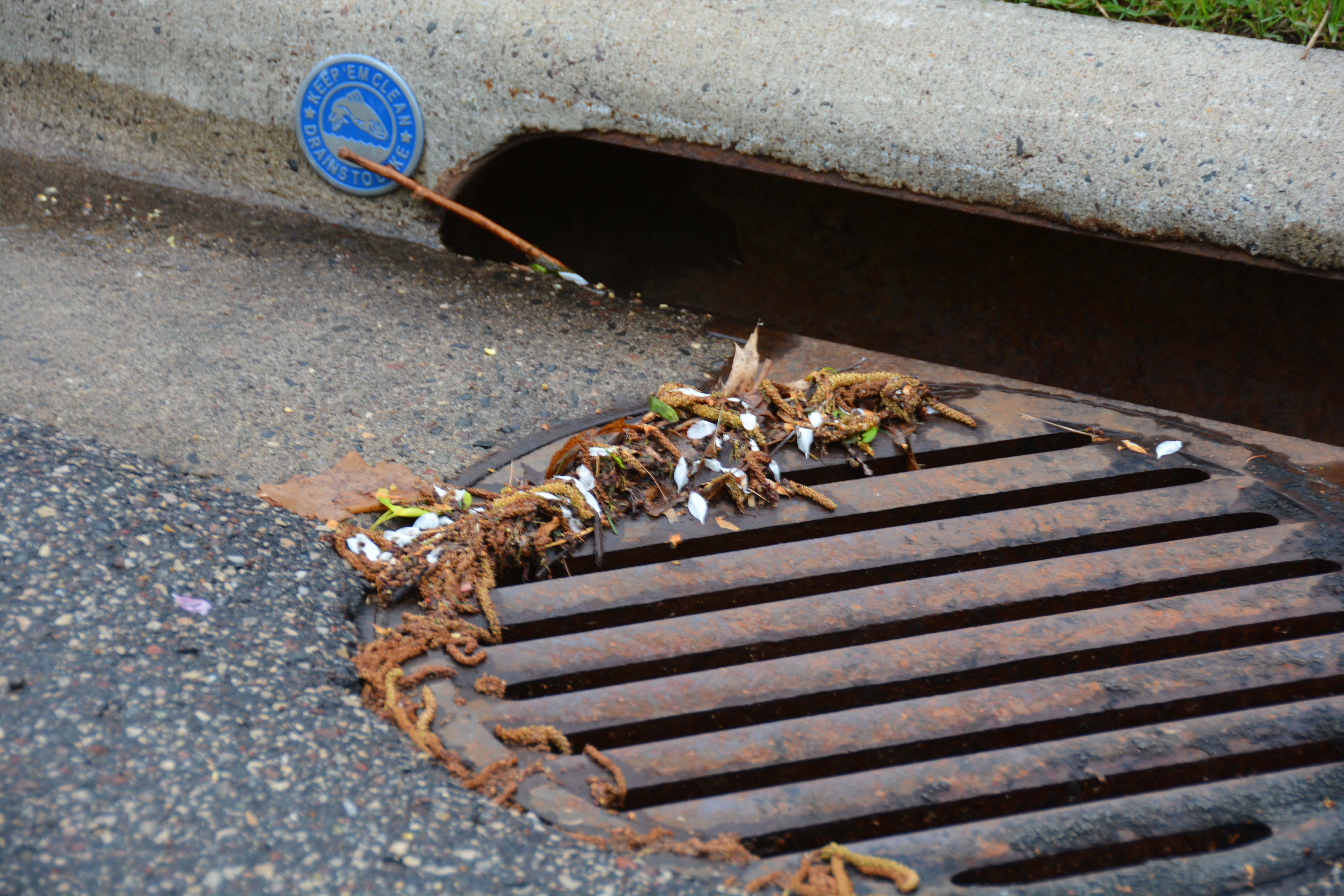 Appendix 2, obj. 3-Clean Up Day b.JPG