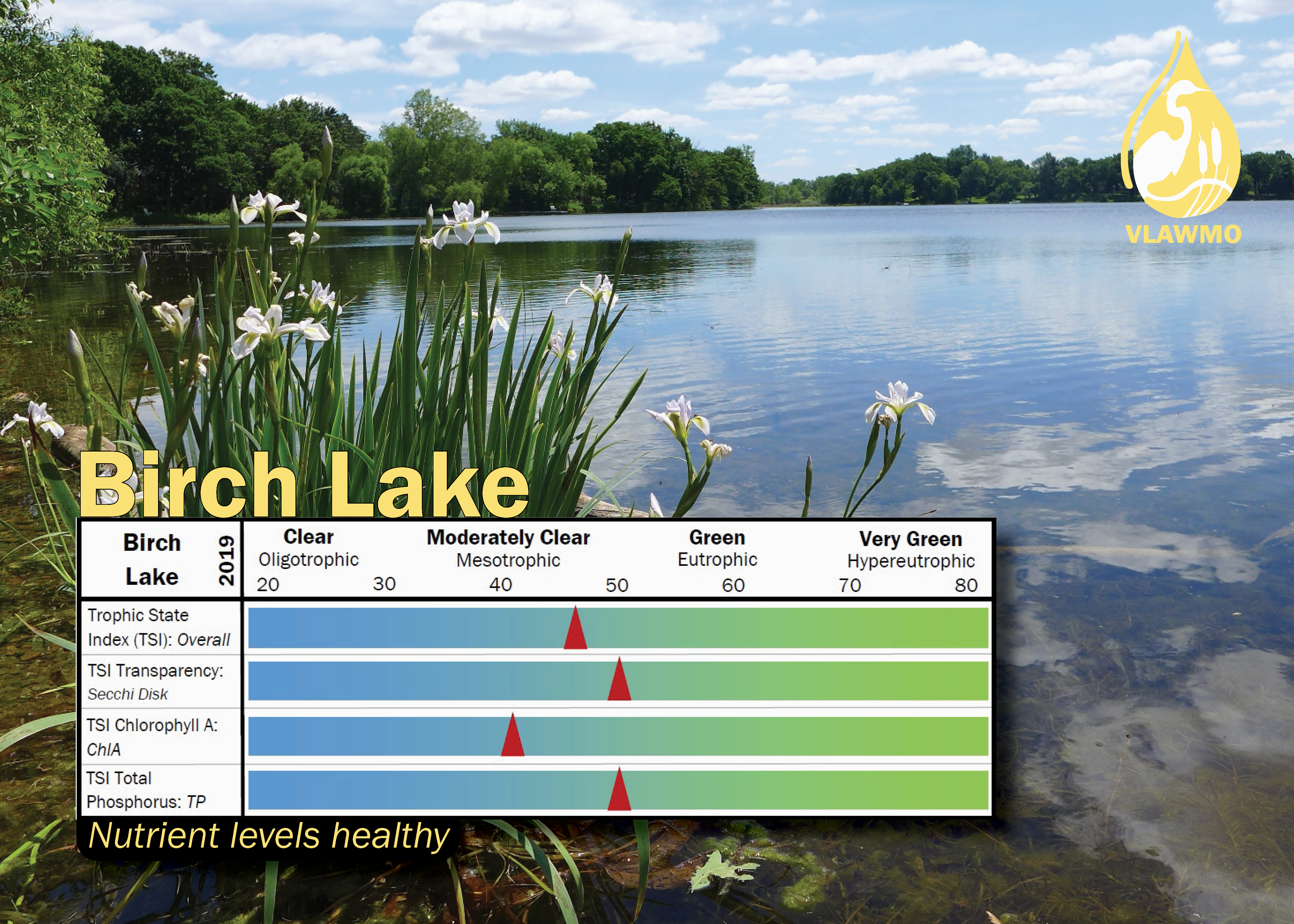Birch Lake TSI graphic 2019.png