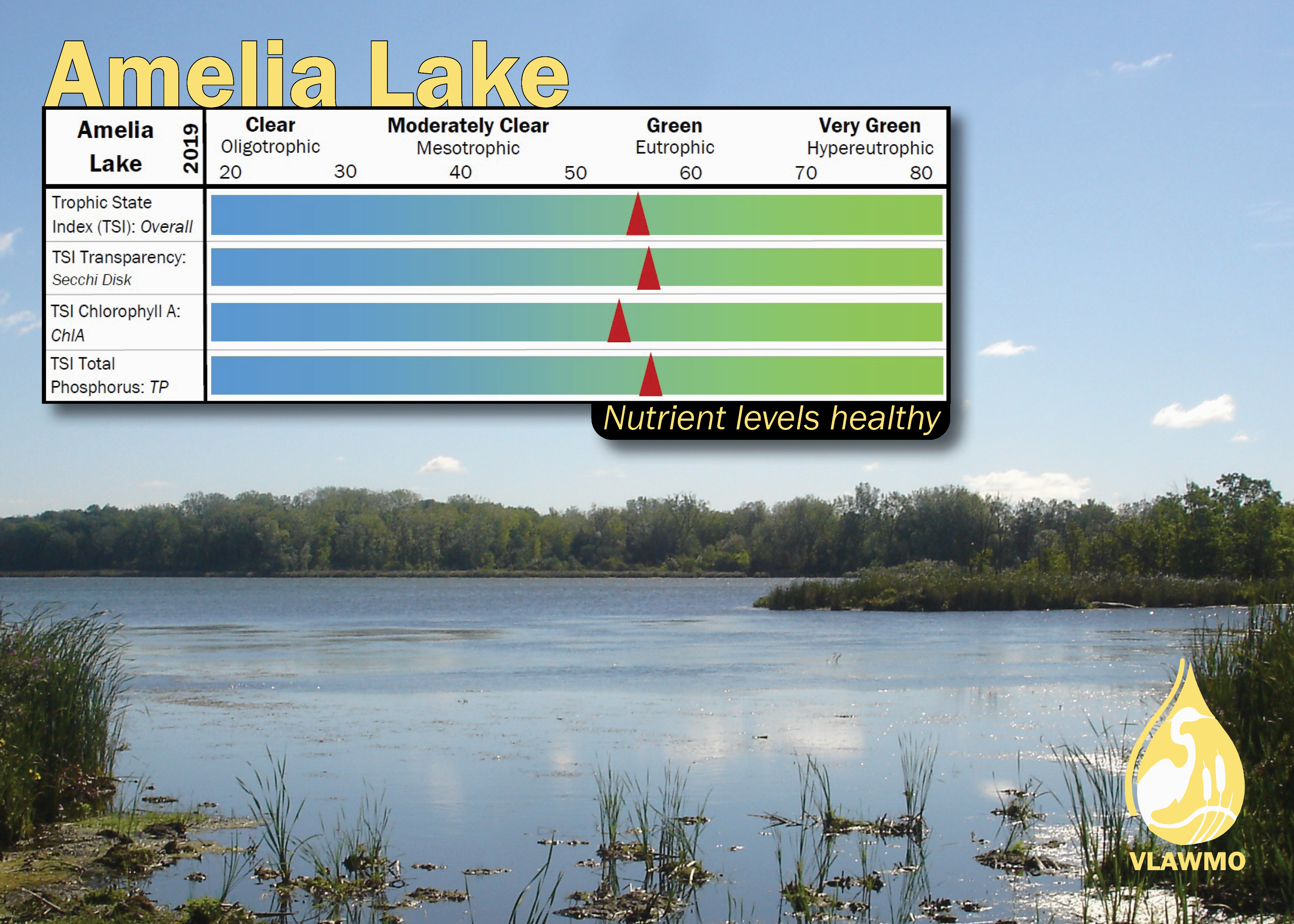 Amelia Lake TSI graphic 2019.png