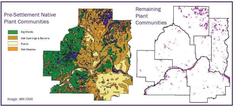 Pre-Post settlement native plant communities.jpg