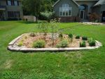 Raingarden in Vadnais Heights 5