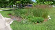 Curb-cut raingarden