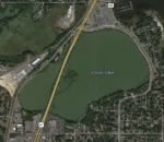 East Goose and West Goose Lake Weed Survey