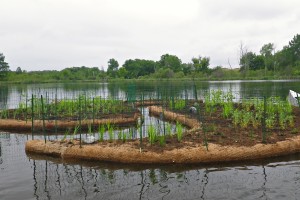 Tamarack Lake