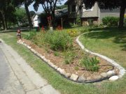 Raingarden in Vadnais Heights 3