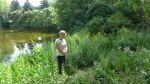 Vadnais Heights Shoreline Restoration