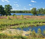 Wilkinson Deep-Water Wetland Restoration RFP