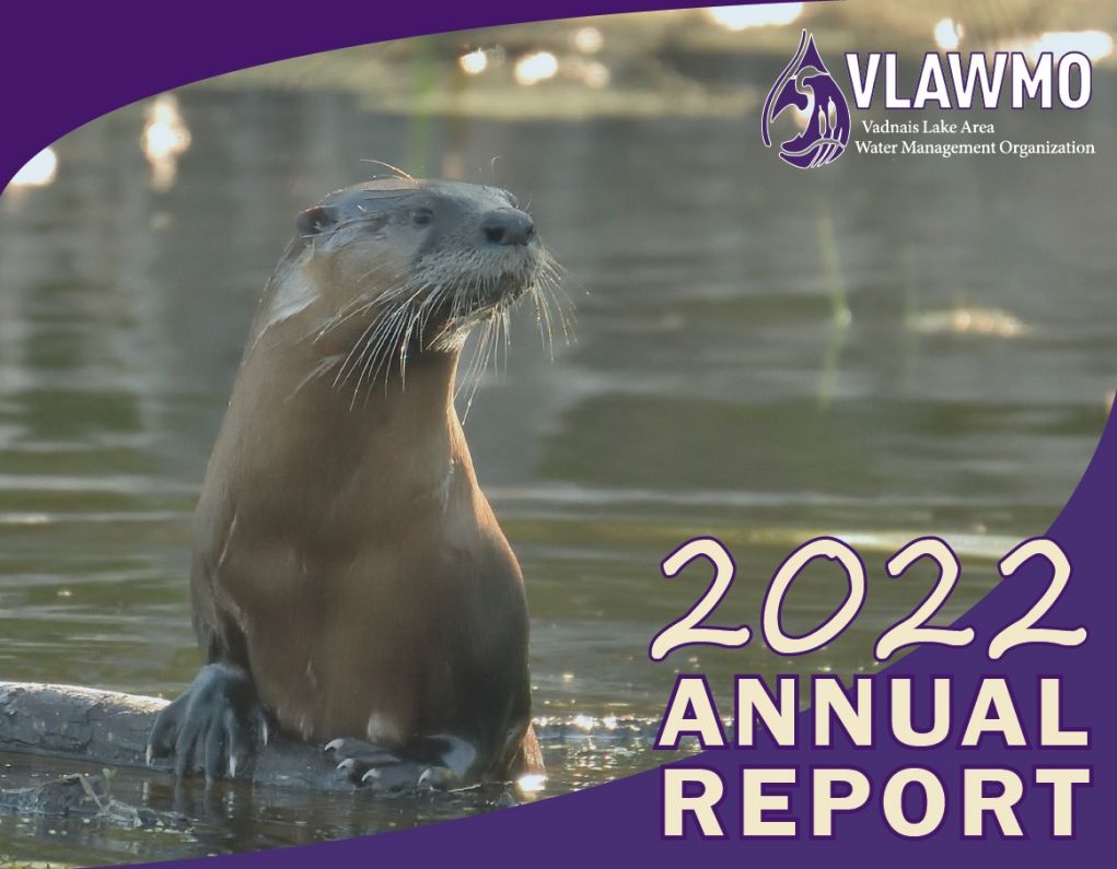 2022 annual report cover thumbnail.jpg